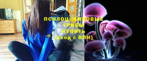 метадон Михайлов