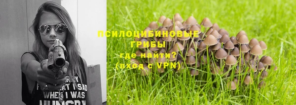 альфа пвп Михайловка