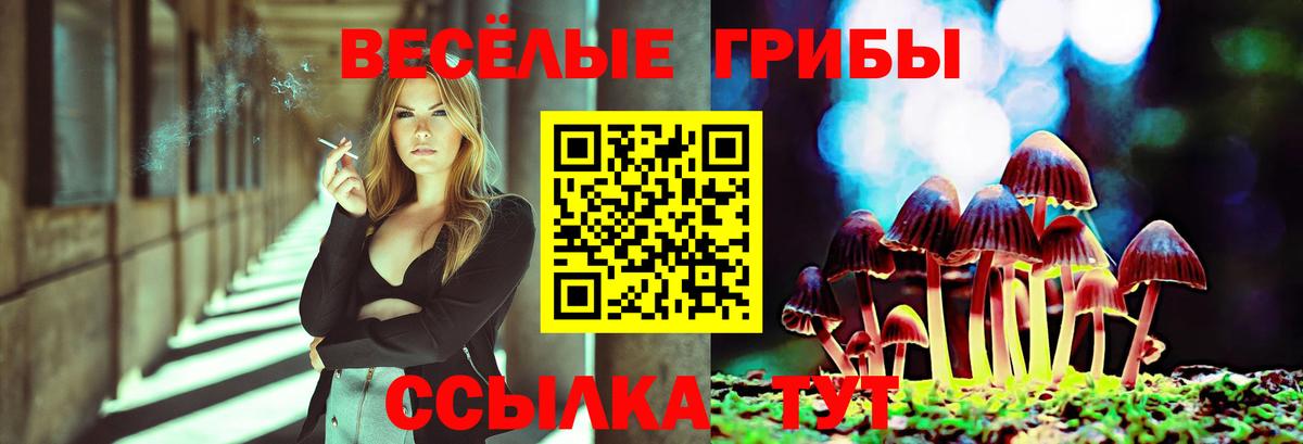 Курганинск  Псилоцибиновые грибы мухоморы  Вход с VPN 