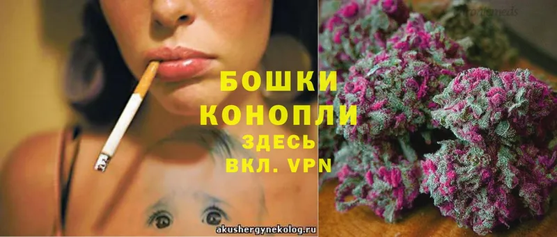 Шишки марихуана White Widow  где можно купить   Курганинск 